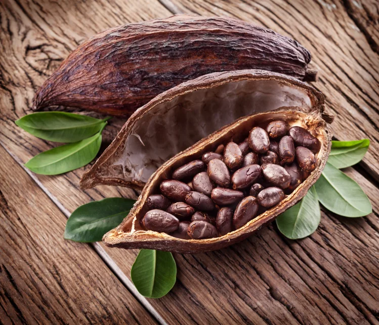 Fresh cocoa pod and beans